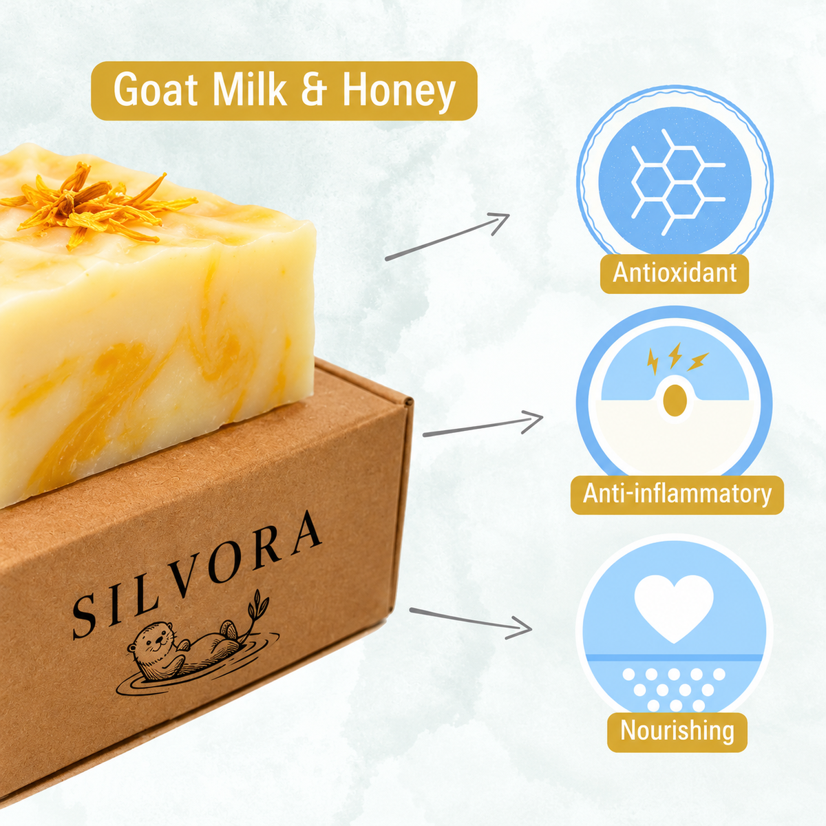 SILVORA daily essentials bundle