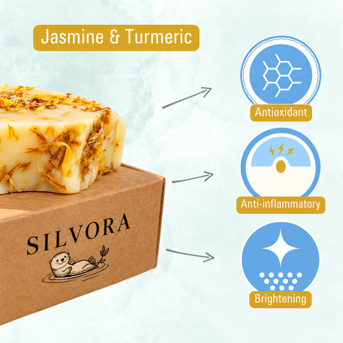 SILVORA daily essentials bundle