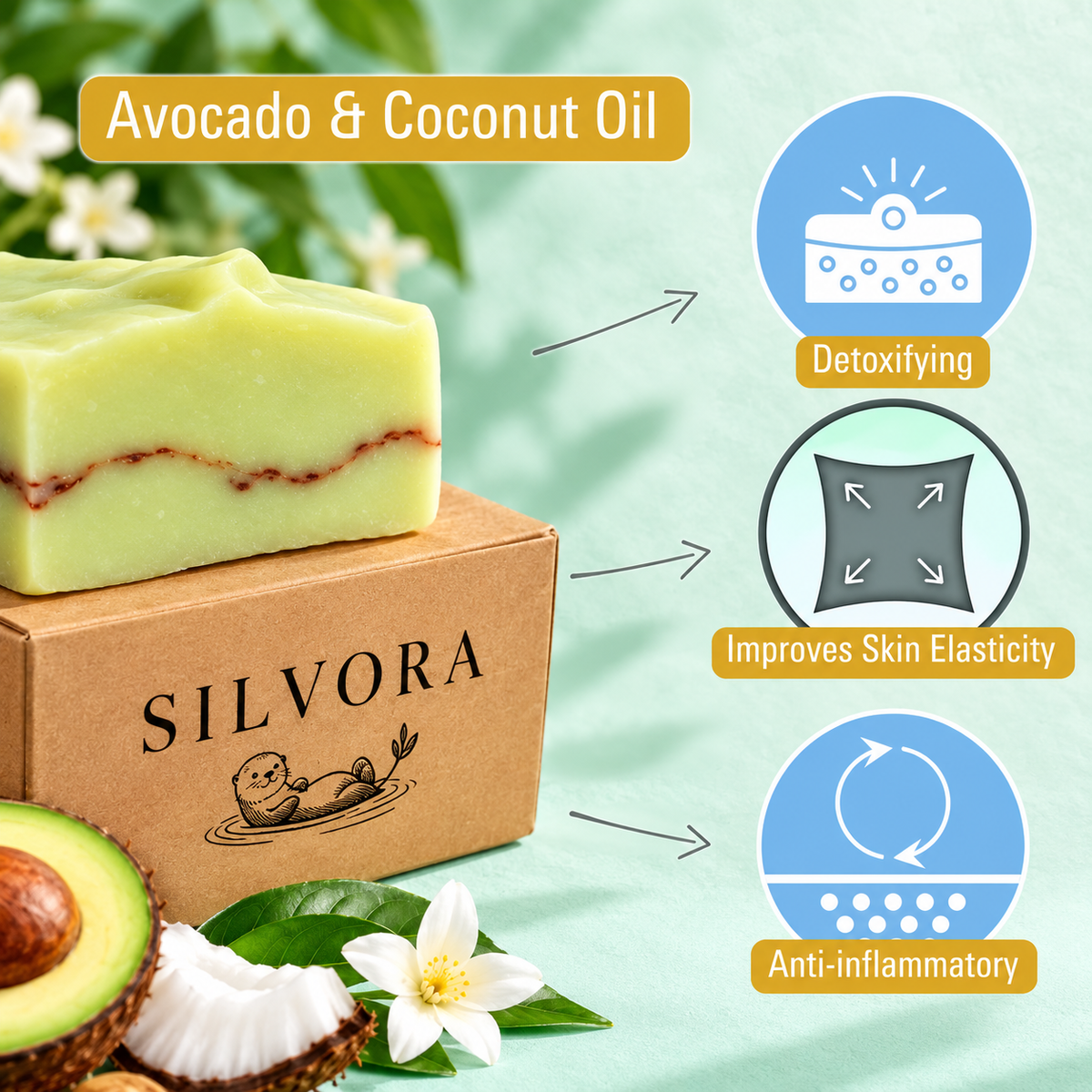 SILVORA daily essentials bundle